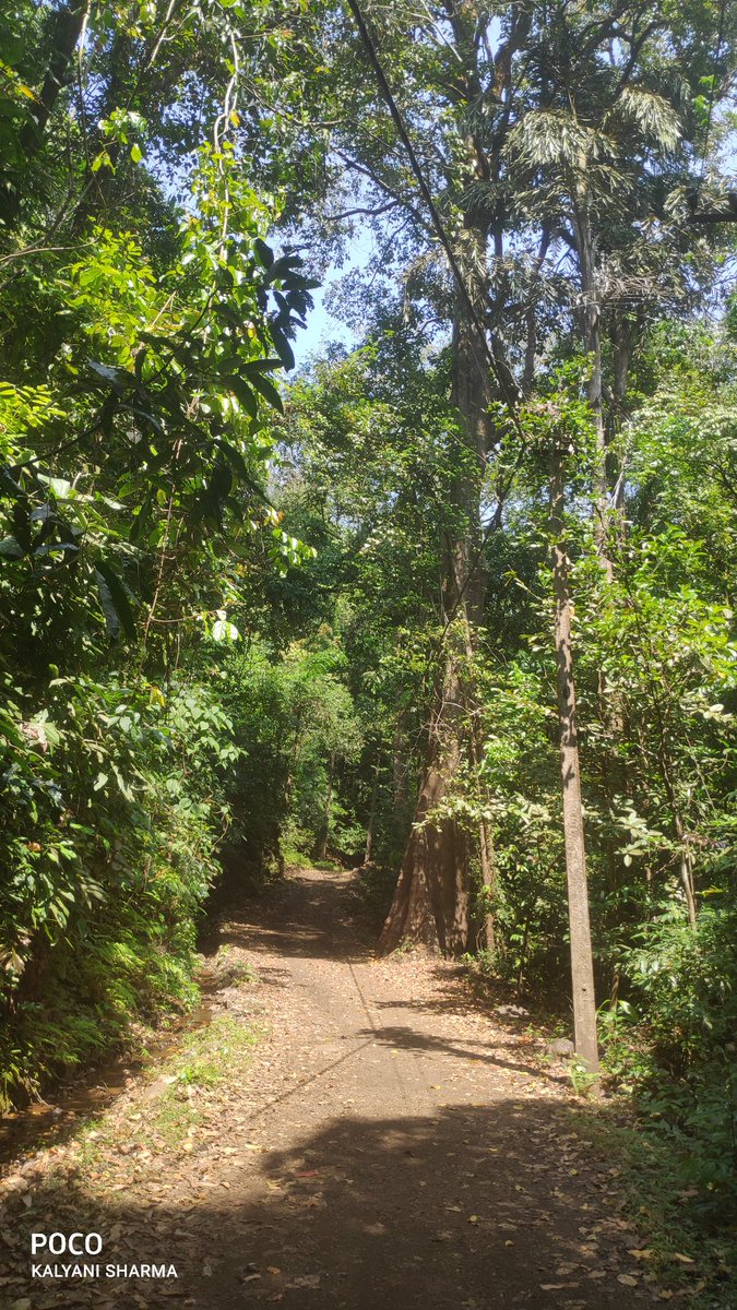 Thank you @KalyaniMuktevi for sharing this blissful experience of trekking around the tremendously beautiful Yana Caves, Karnataka!
#DekhoApnaDesh
@KarnatakaWorld