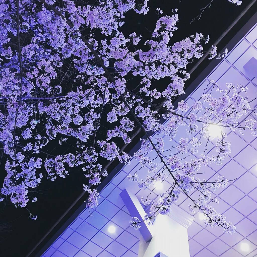 玉姫殿 玉姫殿