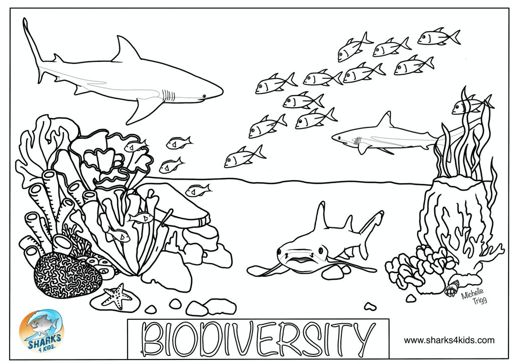 Sharks4Kids's tweet photo. A brand new coloring page for #SharkArtSaturday! Celebrating the biodiversity of the ocean world. Designed by our talented Ambassador, Michelle Trigg @sharkladyuk 

Enjoy! 

Download here for free: https://t.co/SkWZ1V5qAK https://t.co/RZXMKVIHRK