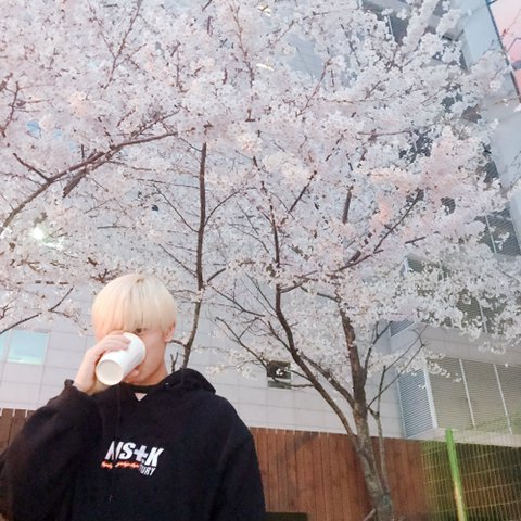 피카츄 tweet media