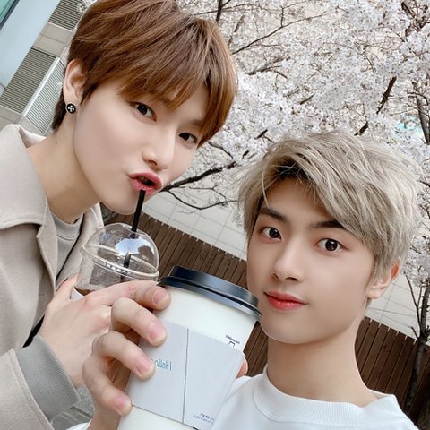 피카츄 tweet media