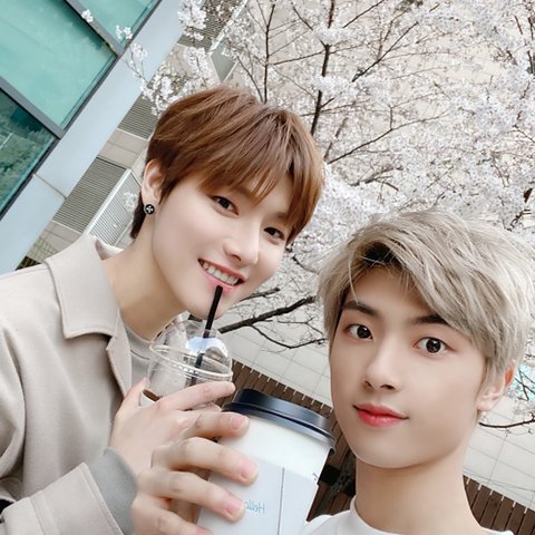 피카츄 tweet media