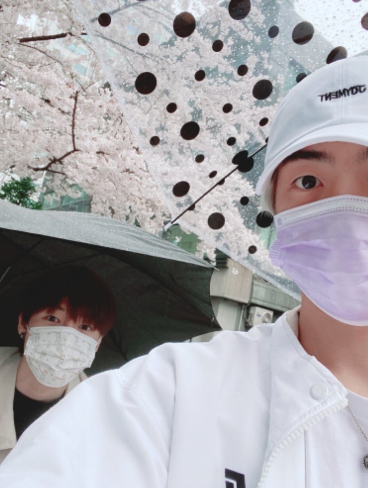 피카츄 tweet media