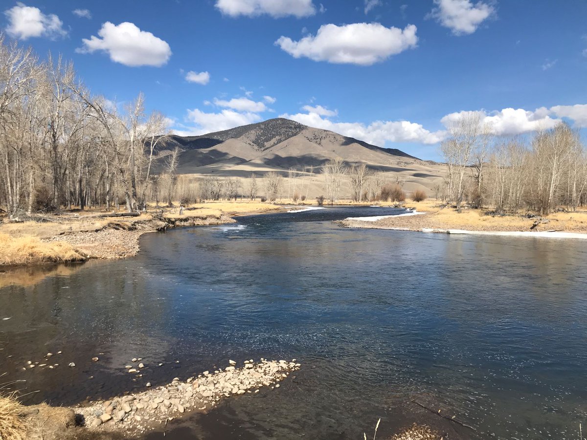 BigHoleWC's tweet image. We're starting to see hints of spring in the lower Big Hole watershed! Who else is ready? #bigholewatershed #bigholeriver #montanaspring #springinmontana
