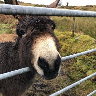 FitFunAdventures tweet media