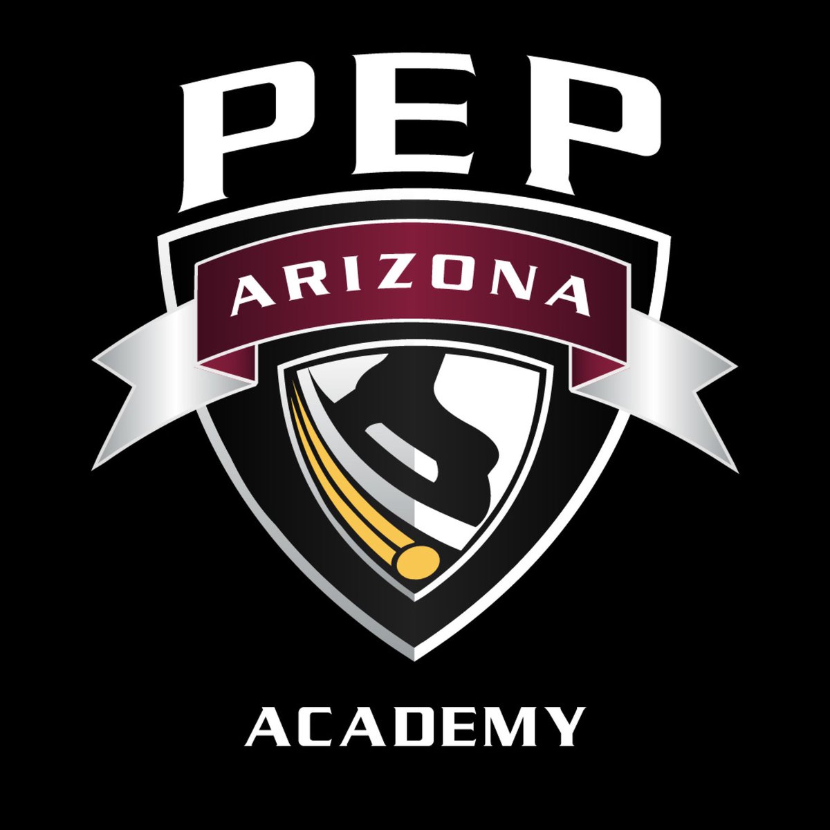 PEPHockey's tweet photo. PEP Hockey is excited to announce the opening of our PEP Academy’s in Arizona & Carolina for Fall 2021! We look forward to expanding in 2022 to Minnesota, Illinois, Florida, & Iowa! #PEPHockey #RethinkYourTraining https://t.co/fqFgx6gRru