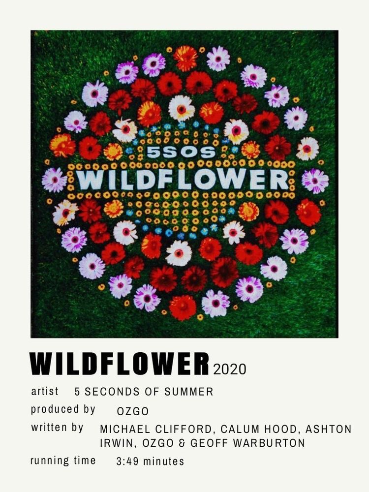 wildflowerhrry's tweet image. mi top 4 de CALM 

#STREAMCALM #1YearOfCALM