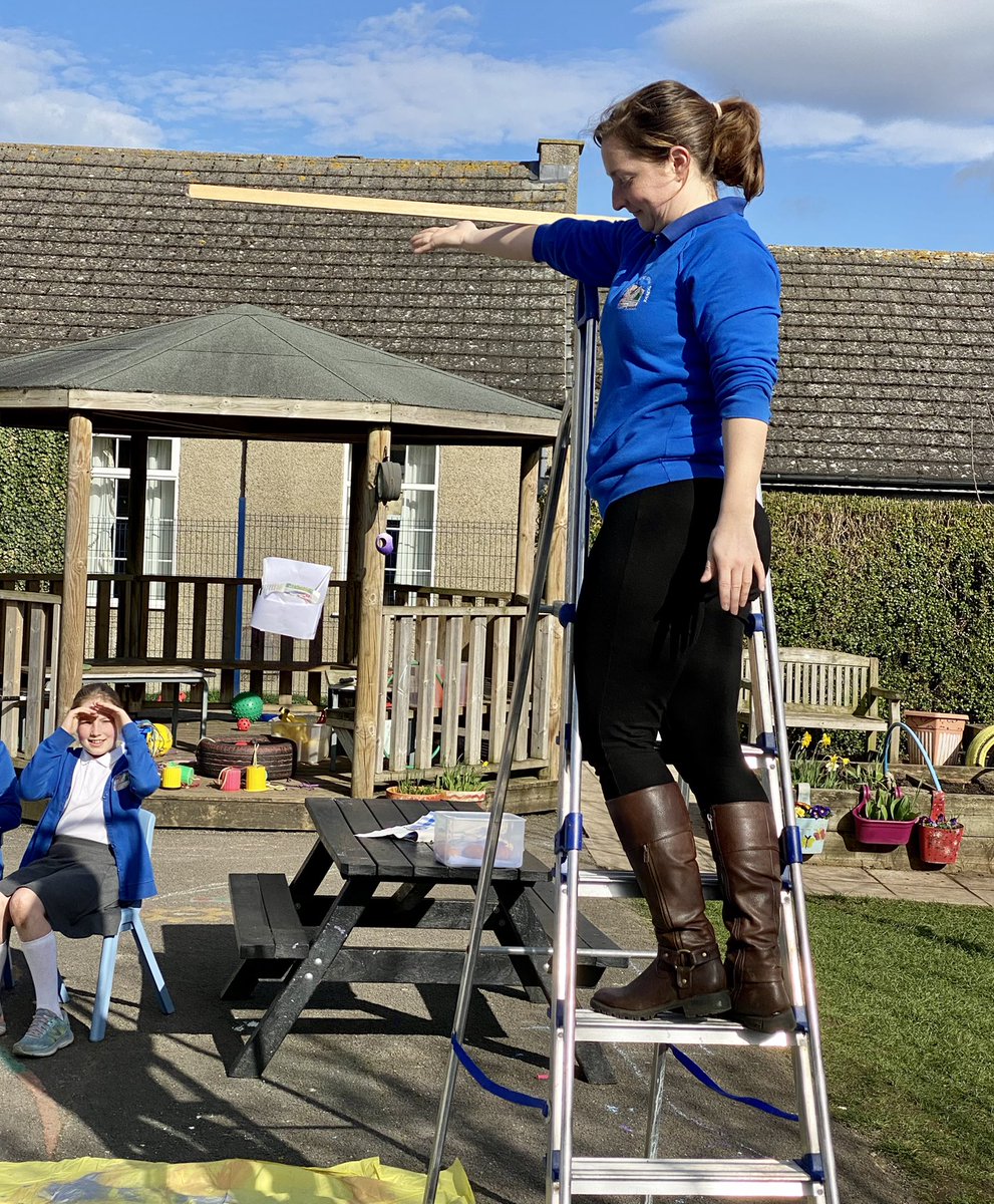 hackforthschool's tweet image. Whole school science enquiry. Which egg will survive? #primaryscience #mixedageteaching