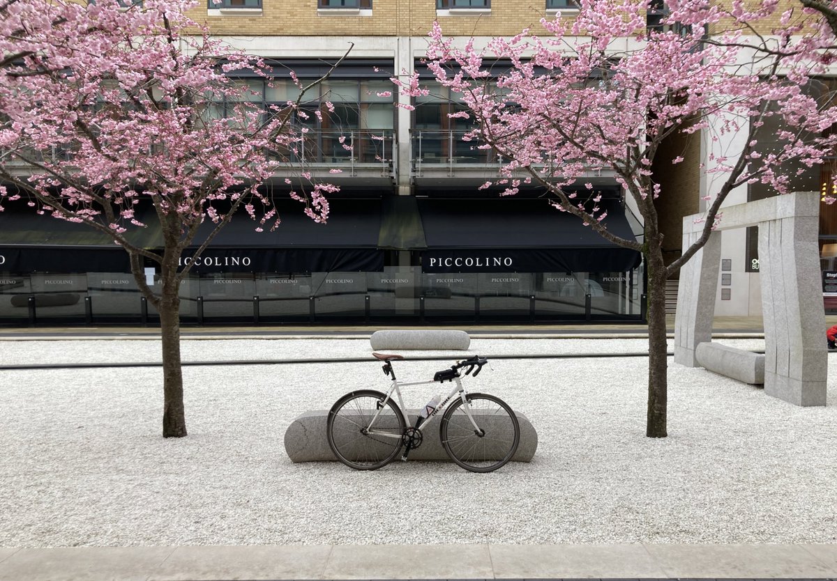 disco_stu74's tweet photo. Out into the city centre on the fixed wheel, the cherry blossom in Oozells Square was in full bloom #ononebikes #ononepompino #fixedwheel #OozellsSquare #singlespeed #cherryblossom #sakura https://t.co/Xt3wQGdO2M