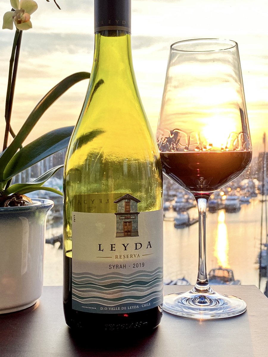 LadyCWine's tweet photo. A Cool-Climate Classic: Viña Leyda Reserva Syrah paired with seasonal spring lamb 💫
It’s available from the Co-op @coopuk, with a special Easter offer💥
https://t.co/5j9lV3pgmQ
#Syrah #SyrahLover #EasterWine https://t.co/zXDgZExBVb