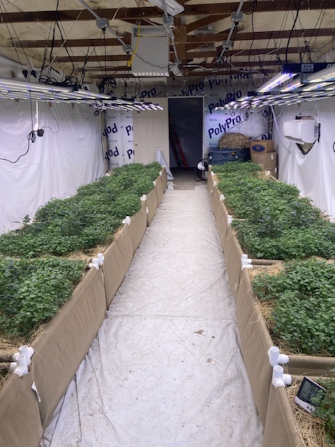 WGREGO202's tweet photo. Check out this awesome no till all organic garden of @410growco producing high end top shelf quality flower!
Dont panic its organic!

#TeamOptic #OpticLED #LedGarden #TopShelf #FireWeed #LEDGrowLights #GrowLights #WeStackNodes #HighTimes #MedicalMarijuana https://t.co/32pSQcOT5f