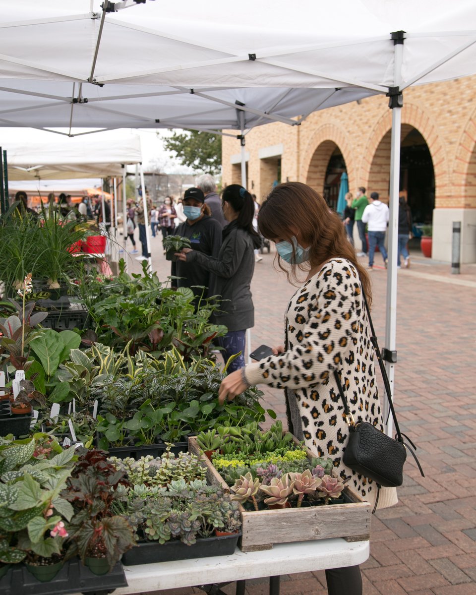 After the winter storms last month, all Pearl Farmers Market farmers will return to market this weekend. Be sure to visit for extra-fresh, seasonal produce that has just been harvested the day before.