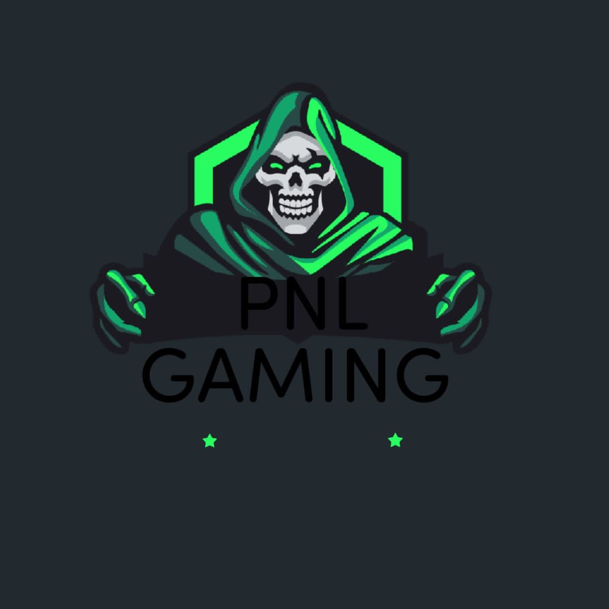 pnlgaming's tweet photo. @LawrenceGaming7 and @DanilesShem are the proud owners of pnlgaming looking for underrated comp player and content creators use #teampnl ontop to get notice https://t.co/eDkRlCGj2g