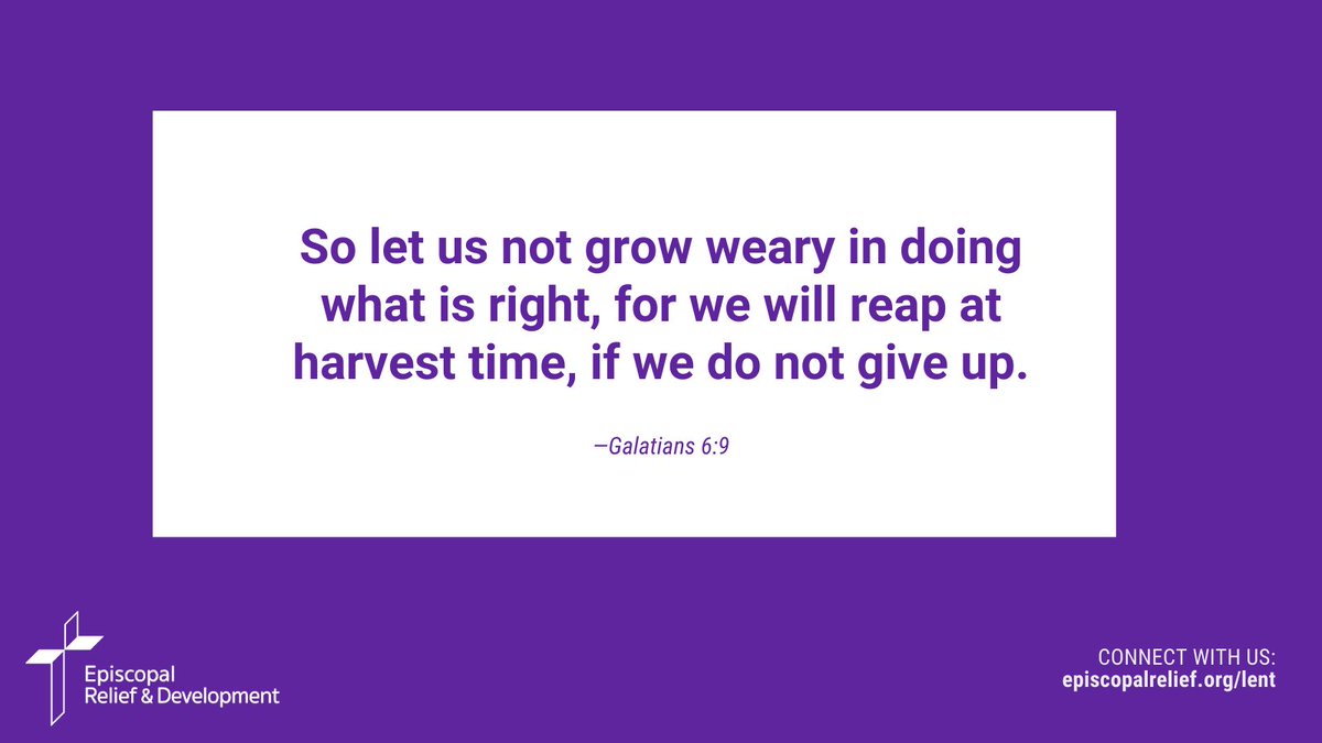 EpiscopalRelief's tweet photo. Weekend reflection:
Let us not grow weary 😌 https://t.co/UqCOa1rdA0