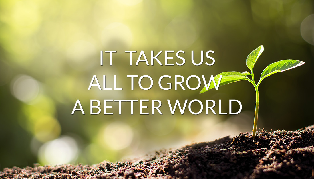 Coffee That Does Good baldguybrew-6639834.hs-sites.com/blogs/specialt…