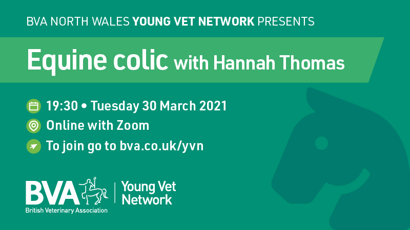 BritishVets's tweet photo. Calling all early-career vets! Join our North Wales #YoungVetNetwork on Tuesday evening for a talk about equine colic with vet Hannah Thomas. Register at https://t.co/DiZGxdvIQr
#CPD #YVN https://t.co/OBXPZr31BY