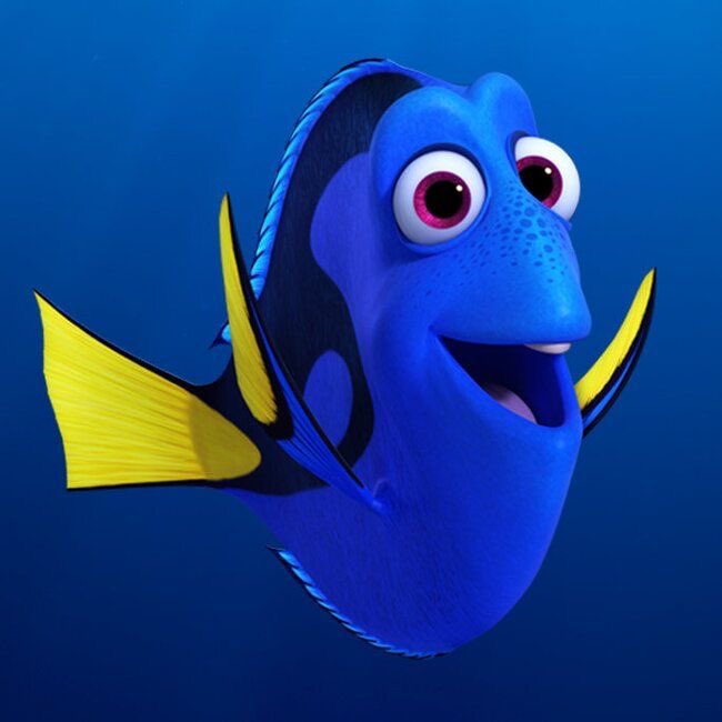 ellaruan852's tweet photo. don’t end it if u look like this #justkeepwimming #dory #suicideprevent https://t.co/Xnk0YZAq6r