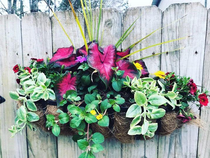 MidTownColumbus's tweet photo. In case you missed it! https://t.co/ZlUOAD7xD6 https://t.co/NTQY7qYZI8