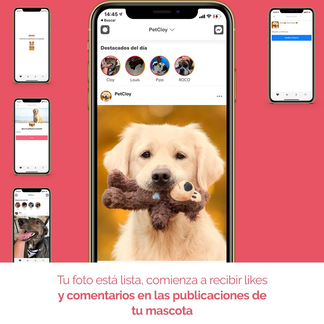 petcloy's tweet photo. Unite a PetCloy. La red social de mascotas donde recibirás likes y comentarios. Arma y mejora los feeds día tras día.
•
•
Todos los meses enviamos videos con fotos de tu mascota publicadas ese mes para que te queden de recuerdo.
•
•
Link en bio https://t.co/3BY71wL3mZ