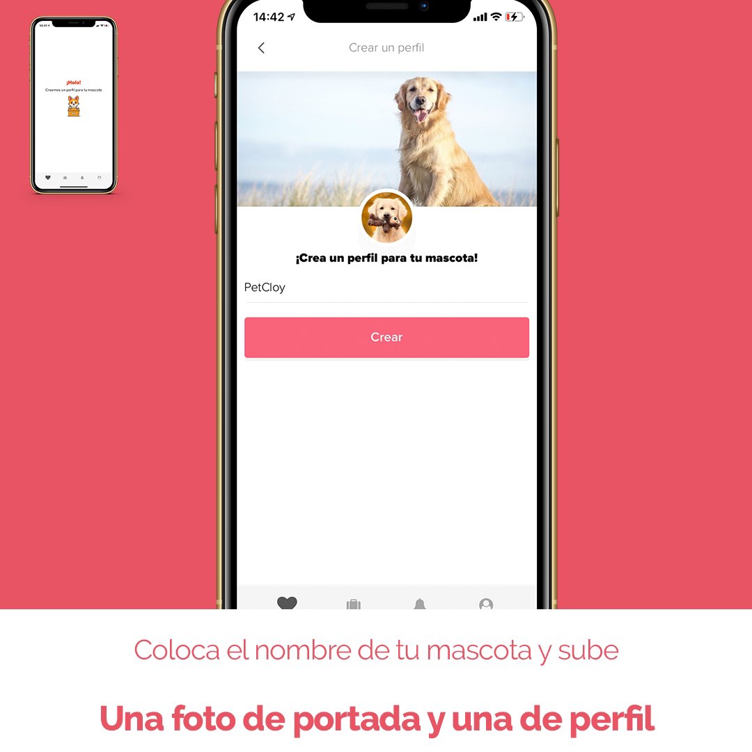 petcloy's tweet photo. Unite a PetCloy. La red social de mascotas donde recibirás likes y comentarios. Arma y mejora los feeds día tras día.
•
•
Todos los meses enviamos videos con fotos de tu mascota publicadas ese mes para que te queden de recuerdo.
•
•
Link en bio https://t.co/3BY71wL3mZ