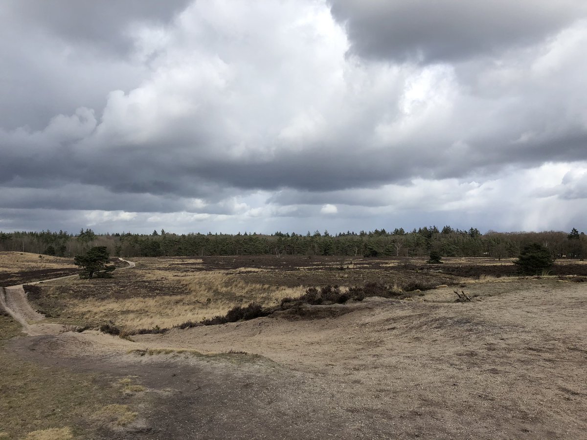 Vandaag de natuur in. Over de Vodseberg. Ommetje Vierhouten.