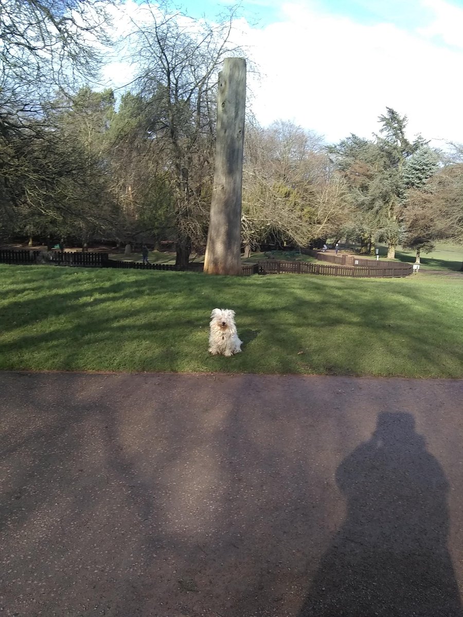 BaggieBirdd66's tweet photo. Bolly in @WarleyWoods1 The #lastnormalphoto I took over a year ago. https://t.co/kJ18UHtOWY