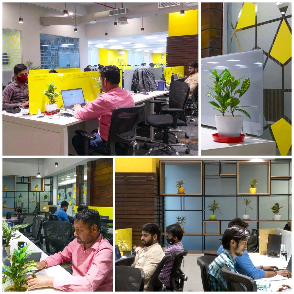 gozwing's tweet photo. Here's a little glimpse of the new colors at our new office space while we wait for the festival of colors. #lifeatzwing https://t.co/MWcm2JIL8U