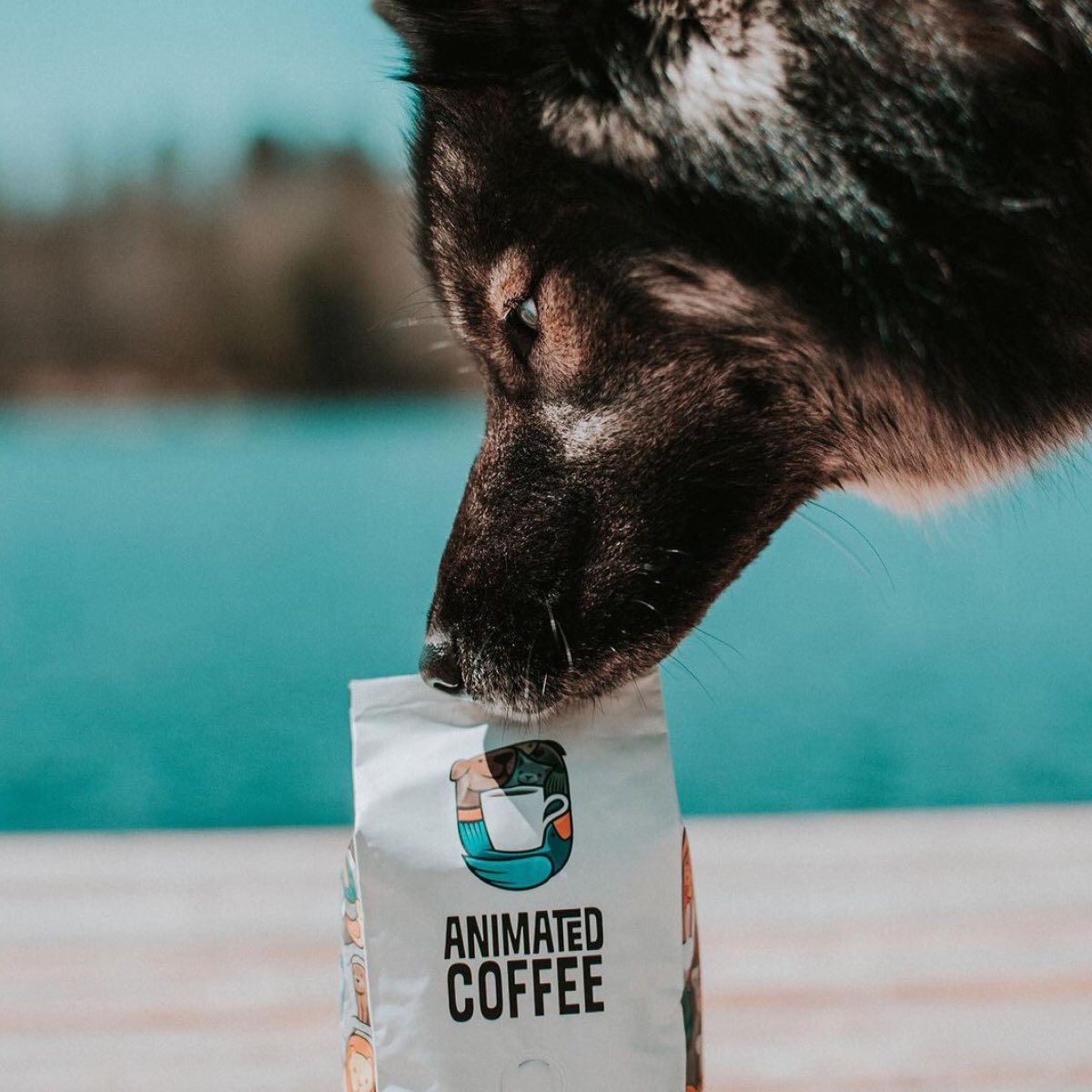 Ottawa Coffee Fest / Café fest Ottawa tweet media