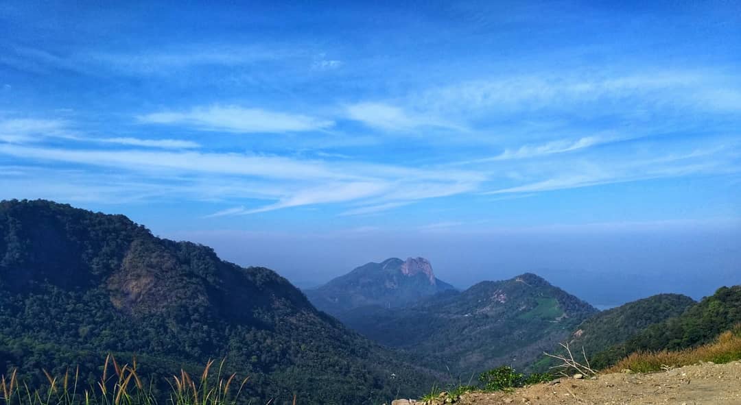 SobinMathew988's tweet photo. Old collection photos
#photography #mobilephotography #pattiyar #Palakkad https://t.co/7lsLntJ0K9