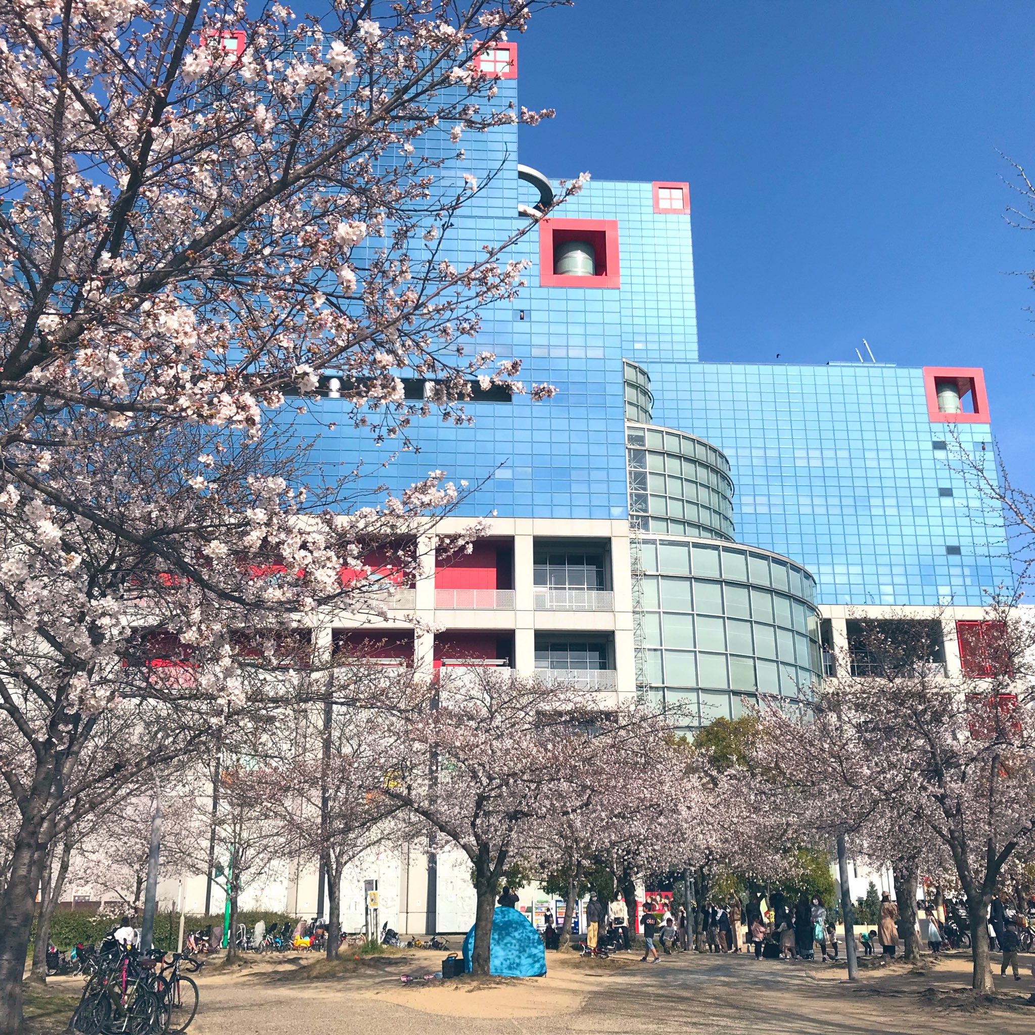 アーティミス Artemis 公式 エアお花見会21 まだ満開ではないけれど 文具女子博petit大阪 会場前の 扇町公園 の桜です T Co Wd03i34bbl Twitter