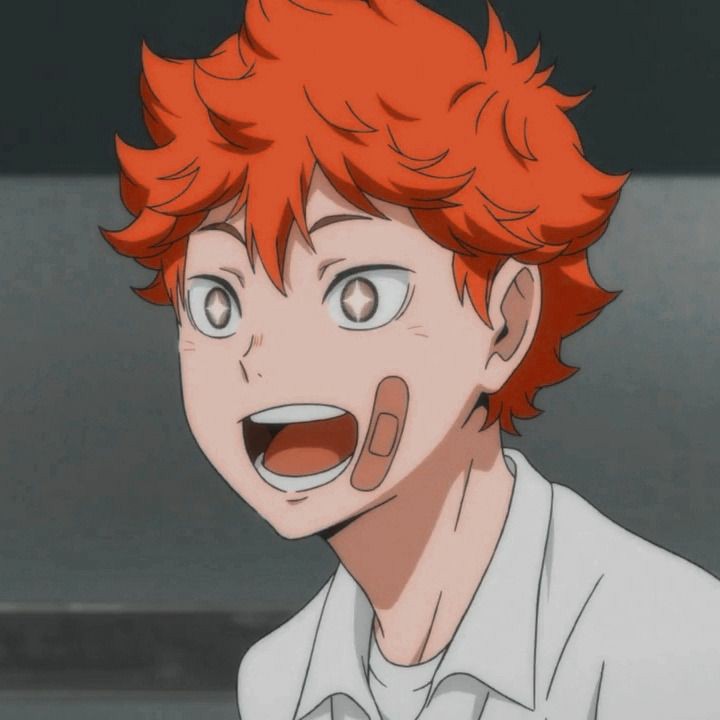 X 上的 ❲🎩❳ Daily Animes࿓：「Personagem: Hinata Shouyou Anime: Haikyuu   / X