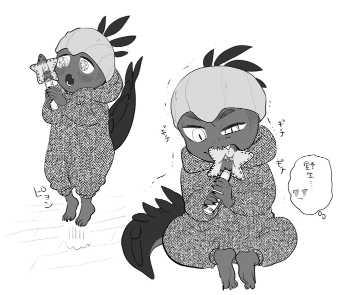 @mola_pk 🐲🪥✨ 