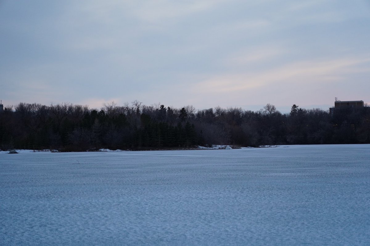 Ryan Hicks tweet media