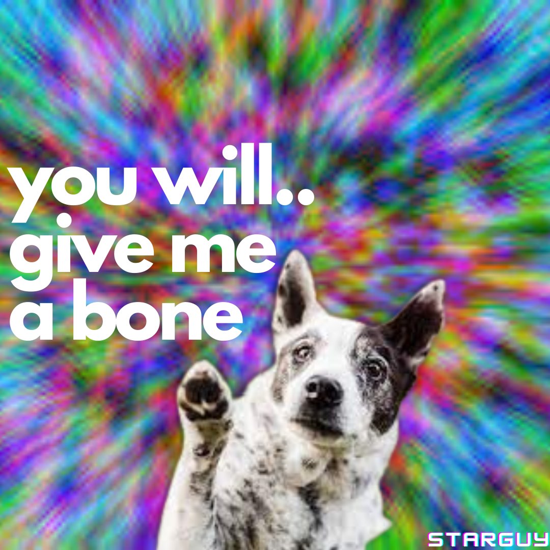 StarguySays's tweet photo. The force is strong with this one.. #StarWars #mindtouch #dogs #dogsoftwitter #starguy #theforce #jedi #padawan https://t.co/a46HB7Gl6K