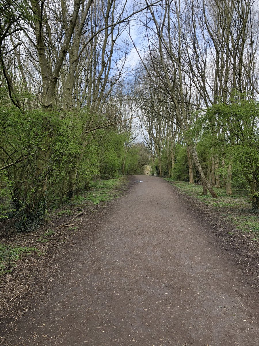 himynameisjaneg's tweet image. WTWA #2WeekChallenge lovely 4.68 mile run putting the world to rights! @FiLeslie1 looks as fresh as a daisy, me not so 🌼@wellbeingmatron @dr_sally_briggs @NagraMandy