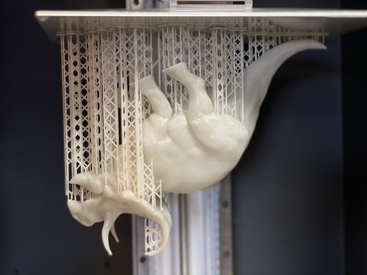 SouthernGFX's tweet photo. Let's call this a successful print today. Doesn't fit into my alcohol buckets though!
#peopolyphenom #3dprint #3dprinting #3dprinter #cerstopsians inspired by #pnso #Machairoceratops https://t.co/4ZrUMkK4Ys