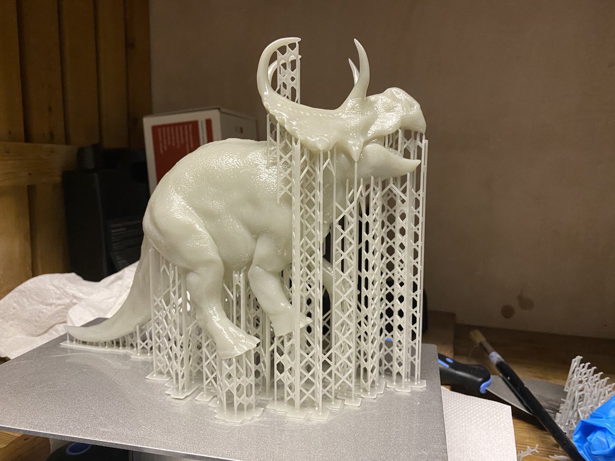 SouthernGFX's tweet photo. Let's call this a successful print today. Doesn't fit into my alcohol buckets though!
#peopolyphenom #3dprint #3dprinting #3dprinter #cerstopsians inspired by #pnso #Machairoceratops https://t.co/4ZrUMkK4Ys