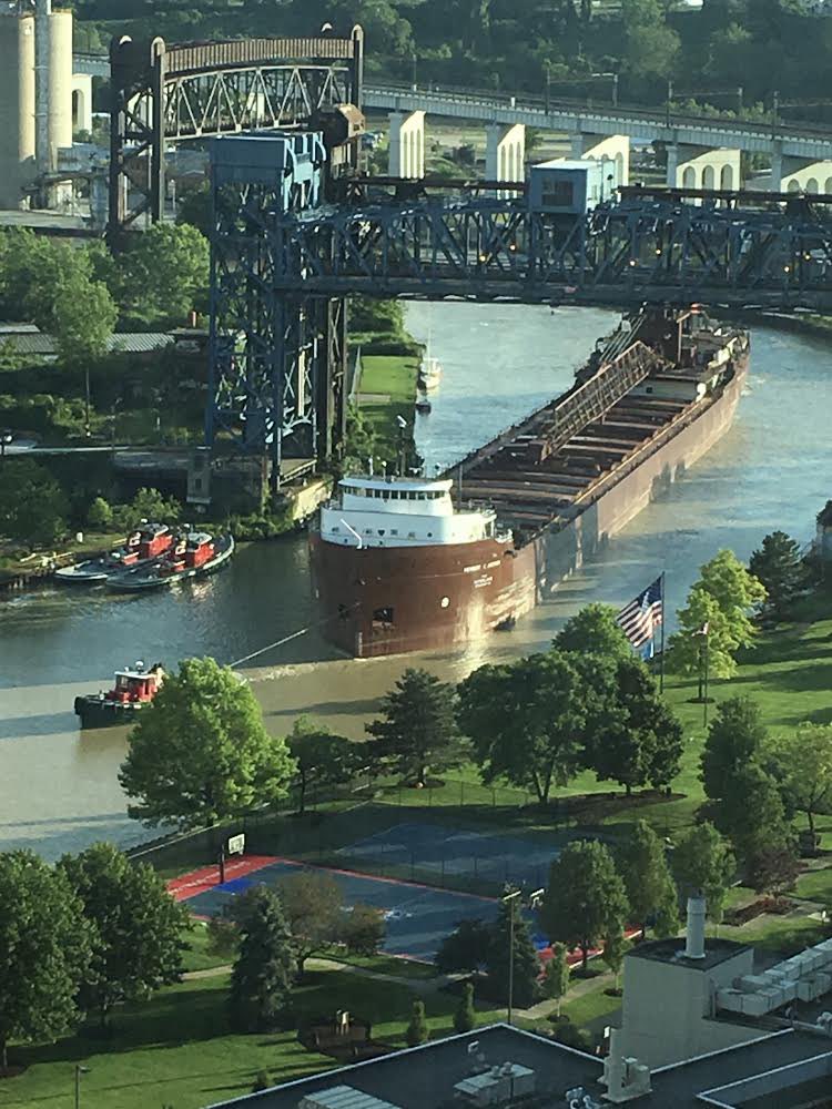 Stephen Young tweet media