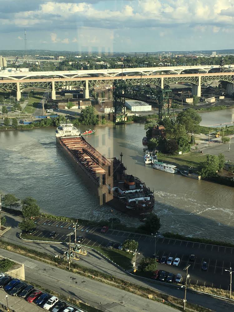 Stephen Young tweet media