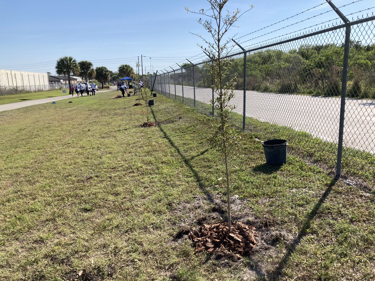 OrangeCoParksFL's tweet photo. Thanks to all the volunteers who came out to plant these 85 pines and oaks along @OrangeCoParksFL’s #CadyWayTrail this morning! https://t.co/aGkk8QNWHu