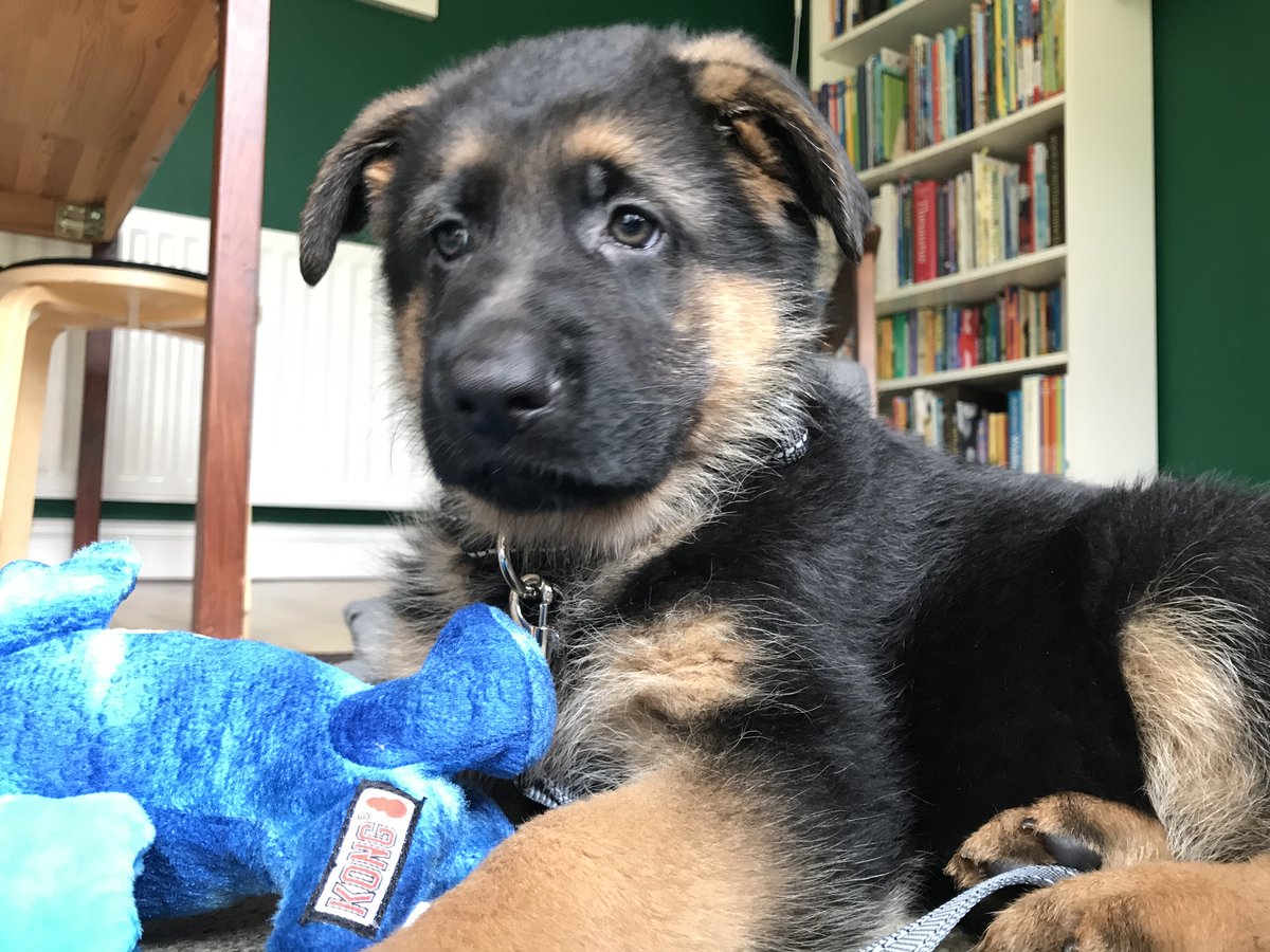 So, this happened yesterday. I blame <a href="/JoannaCannon/">Joanna Cannon</a> and Lewis.