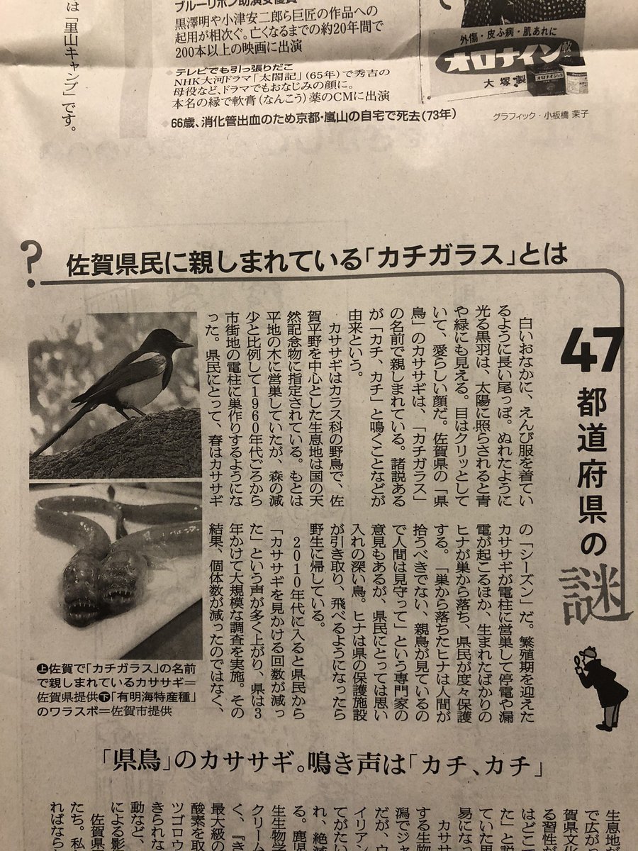Kawase Takaya Auf Twitter 朝日新聞 Be に 佐賀県ではカササギを カチガラス とも呼ぶ カチ カチ と鳴くことからか などと書いていたが 韓国語ではまさにカササギを カチ 까치 というのだが 真相は ちなみに向こうではめでたい鳥として 昔は虎とかと