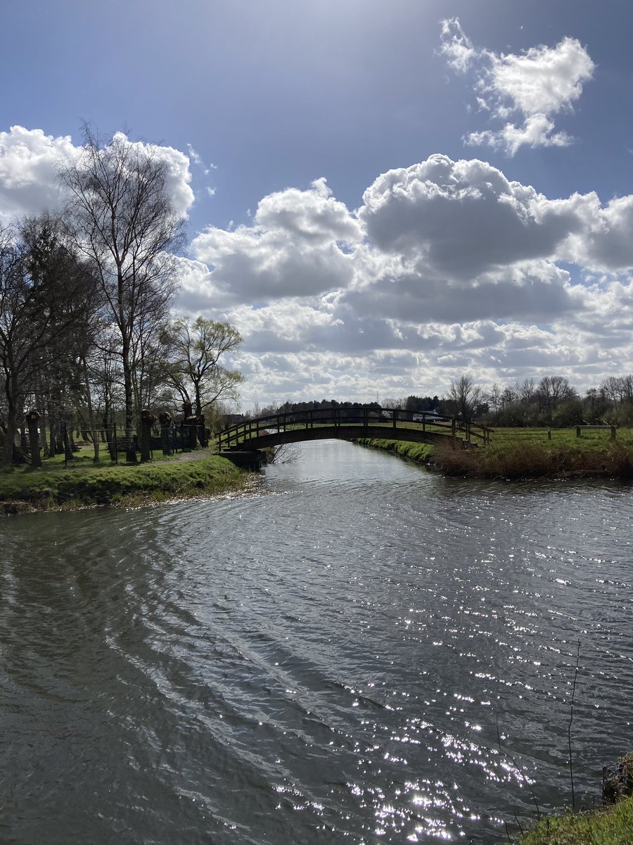 Stoofk's tweet photo. Klein natuurgebied aan de #durme afgesloten van 15 maart tot 15 augustus - dat is wel heel lang om u ei kwijt te kunnen 😄. #moerbekewaas #natuur #respect https://t.co/c3ahfPYm2d