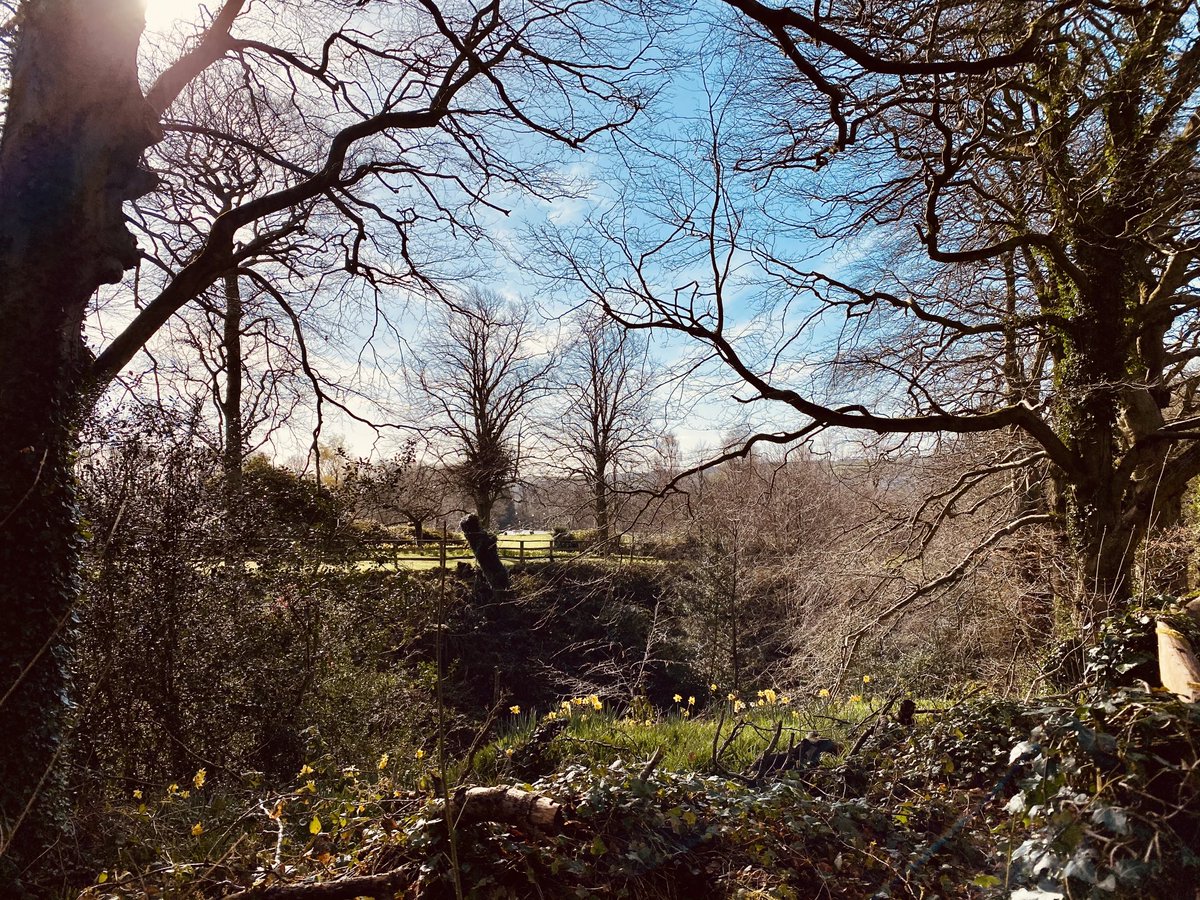 EllieKa66133452's tweet photo. Saturday morning blue skies...#thebestoftheday #clocksspringforward tonight https://t.co/xA8d8likIs