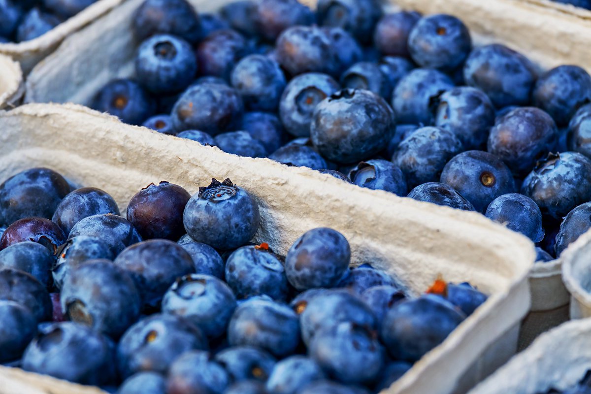 MimTashrifa's tweet photo. #blueberries #blueberry #strawberries #breakfast #berries #food #HealthyFood  #fruit #foodie #raspberries #instafood #yummy #strawberry #healthy #homemade #delicious #healthylifestyle #vegan #banana #dessert #cake #fruits #summer #blackberries #organic #smoothie #baking #bhfyp https://t.co/rY8eBZHdkd