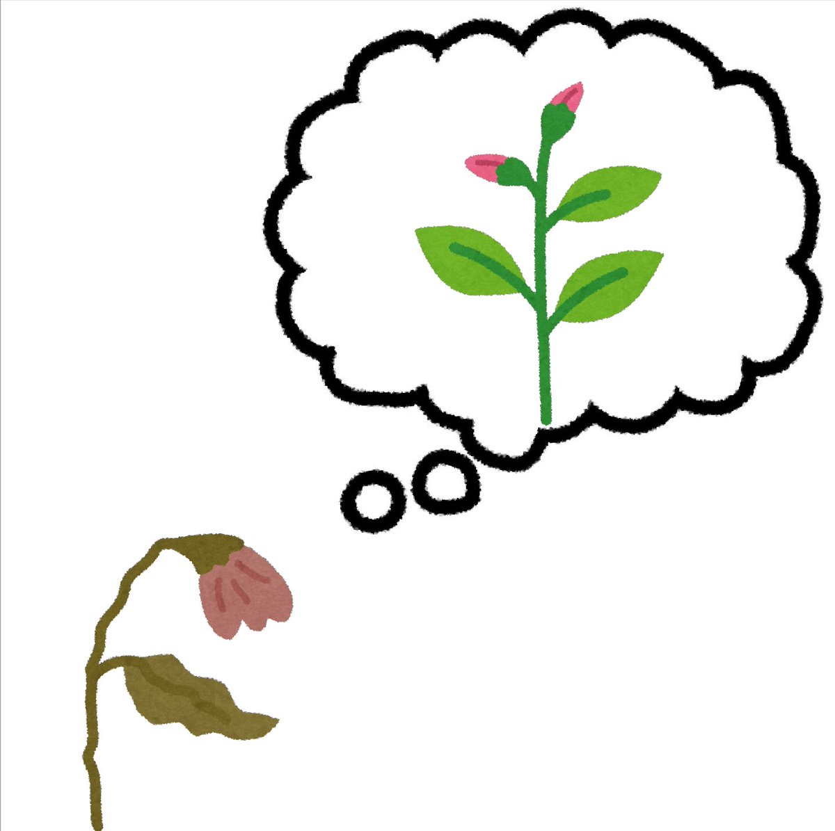 まいチクをいらすとやで再現 على تويتر 再現難易度 使ったイラスト 3枚 ふきだしのイラスト 花の成長過程のイラスト つぼみができて 枯れてしまう まいにちチクショー まいチクをいらすとやで再現 على تويتر 再現難易度 使ったイラスト 3枚 ふきだしのイラスト 花の成長過程のイラスト つぼみができて 枯れてしまう まいにちチクショー