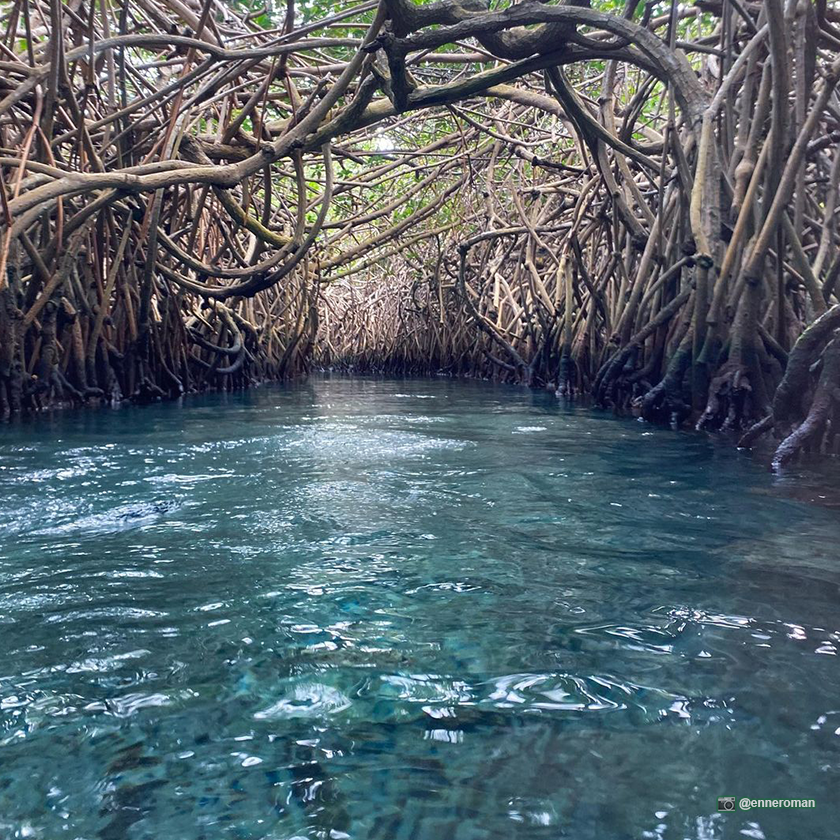 XcaretPark's tweet photo. 🍃❤️💦 With places like these, it´s impossible not craving for a new visit to rediscover this paradise in Riviera Maya! 😊

#MexicosMajesticParadise #Xcaret https://t.co/S0K4dIW9jO
