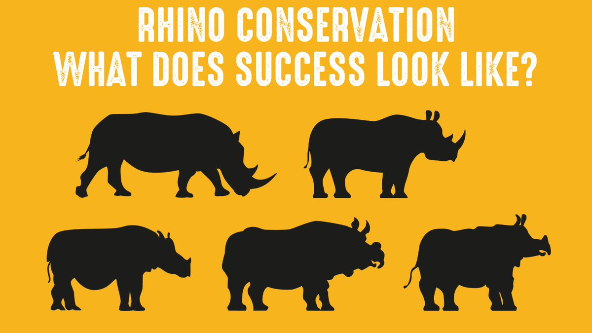 Join some of the world’s leading rhino conservationists as they debate the best way to save rhinos and answer some difficult or thorny questions lght.ly/k554jb #Rhinos #RhinoConservation #SavetheRhino #ThornyIssues