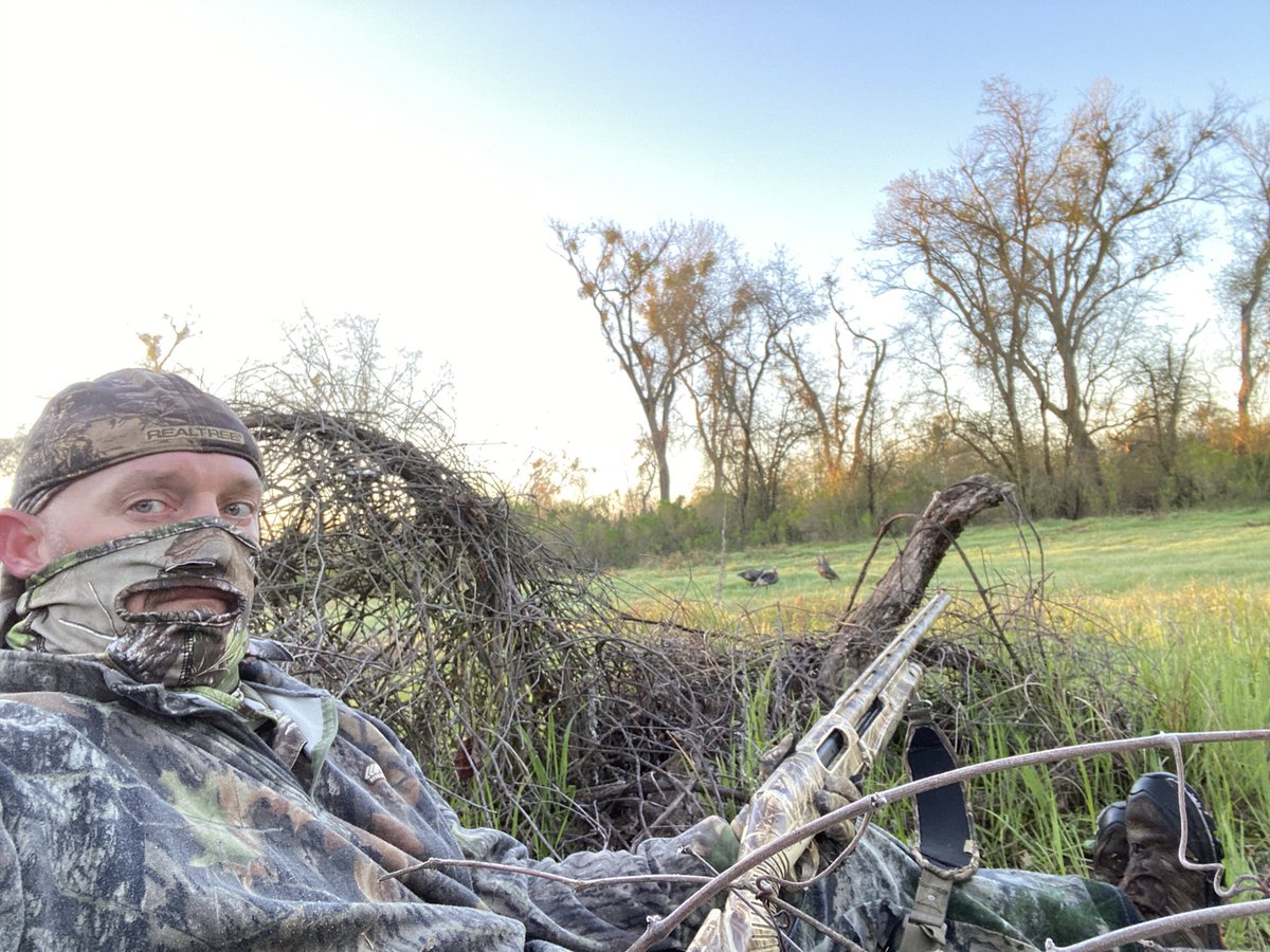 studcarp's tweet photo. I can hear em https://t.co/PO0S07oE9k