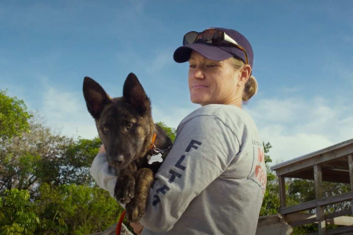 CincyMuseum's tweet photo. @SuperpowerDogs teaches us about the lifesaving superpowers and extraordinary bravery of some of the world’s most amazing dogs. Journey around the globe to meet remarkable dogs who save lives.

Hurry, Superpower Dogs is leaving April 5th ➡️ https://t.co/yRyNGDi30O https://t.co/UbWCf339l3